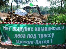 Химкинский лес, лагерь экологов. Фото Каспарова.Ru 