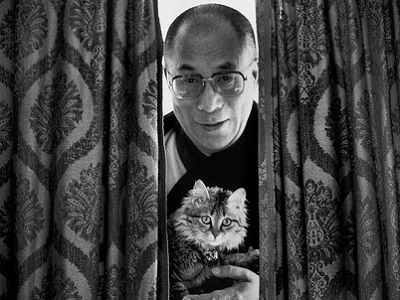 Далай-лама XIV и кот. Источник - pinterest.com