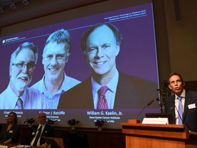 Томас Перлманн (справа), секретарь Нобелевского комитета на пресс-конференции в Каролинском институте в Стокгольме, Швеция, 7 октября 2019 года. Фото: Reuters