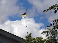 Имперский флаг. Фото: nbp-info.com